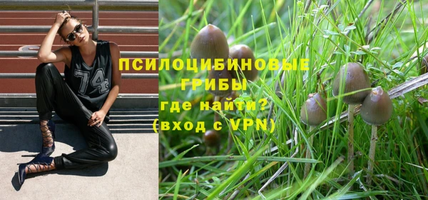 ALPHA PVP Болхов
