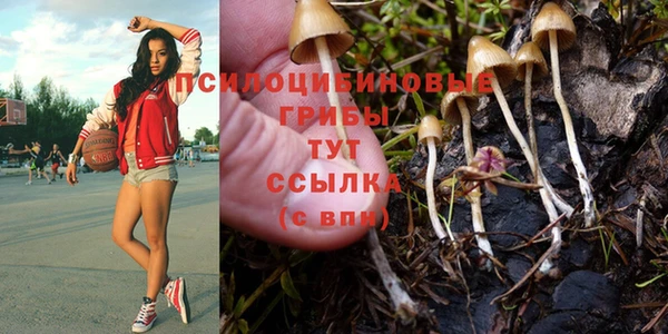 кокс Рославль