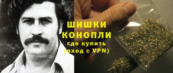 СК Богородск