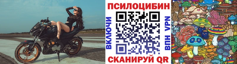 Галлюциногенные грибы Cubensis  ОМГ ОМГ вход  Южно-Сухокумск  где можно купить наркотик 