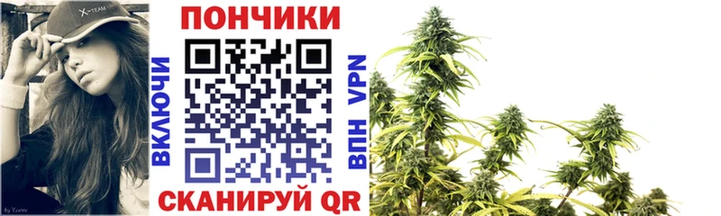 что такое   Южно-Сухокумск  Шишки марихуана MAZAR 